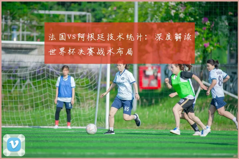 法国vs阿根廷技术统计：深度解读世界杯决赛战术布局